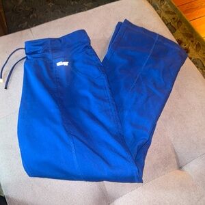Greys Anatomy Royal Blue Pants